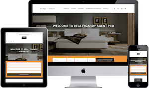 Winning Agent WordPress real estate theme