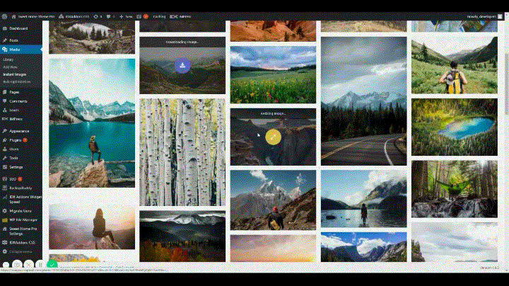 Downloading Unsplash pictures from WordPress Dashboard