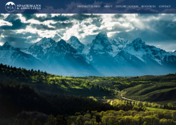 Spackmans & Associates Squarespace Idx Connect