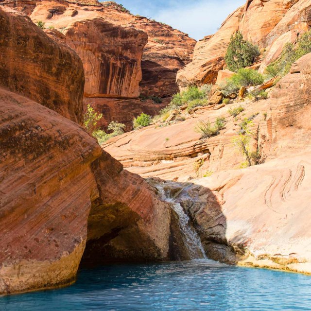 Red Cliffs National Recreation Area